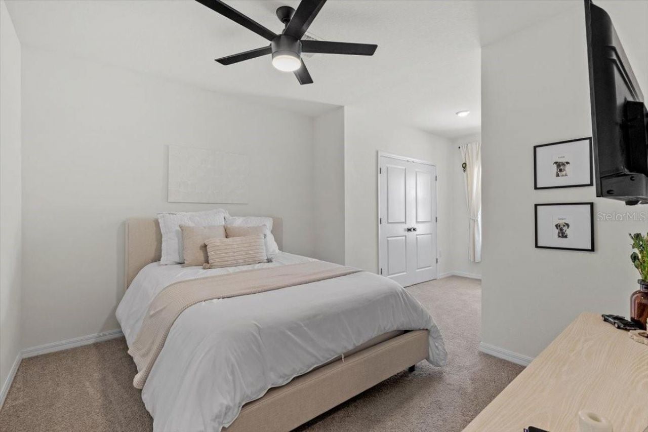 33064 Tulip Petal Lane, Wesley Chapel, FL 33545 Photo