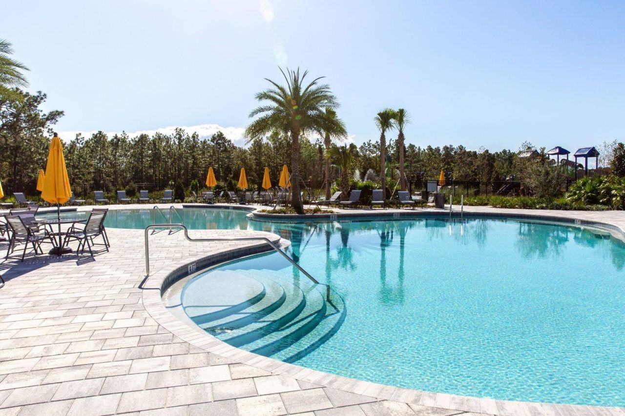 33064 Tulip Petal Lane, Wesley Chapel, FL 33545 Photo