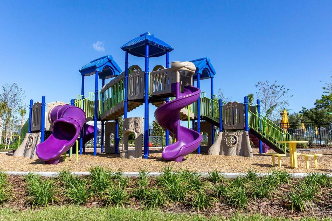 33064 Tulip Petal Lane, Wesley Chapel, FL 33545 Photo