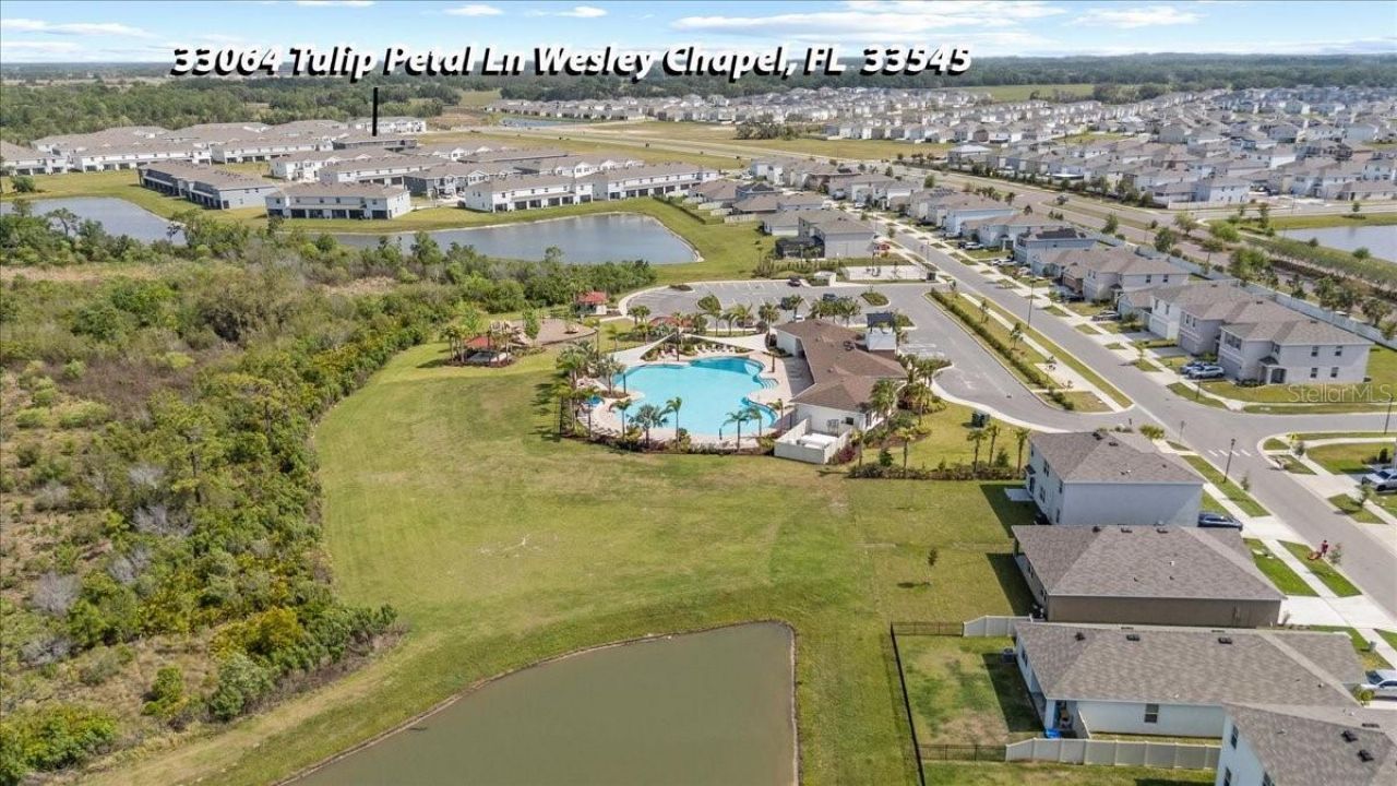 33064 Tulip Petal Lane, Wesley Chapel, FL 33545 Photo