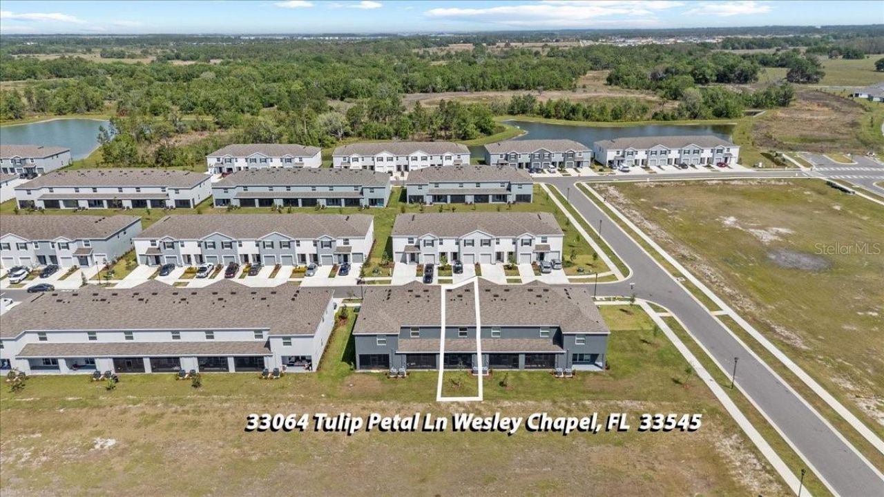 33064 Tulip Petal Lane, Wesley Chapel, FL 33545 Photo