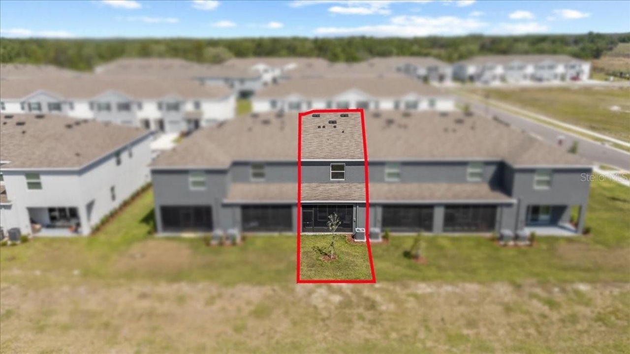 33064 Tulip Petal Lane, Wesley Chapel, FL 33545 Photo