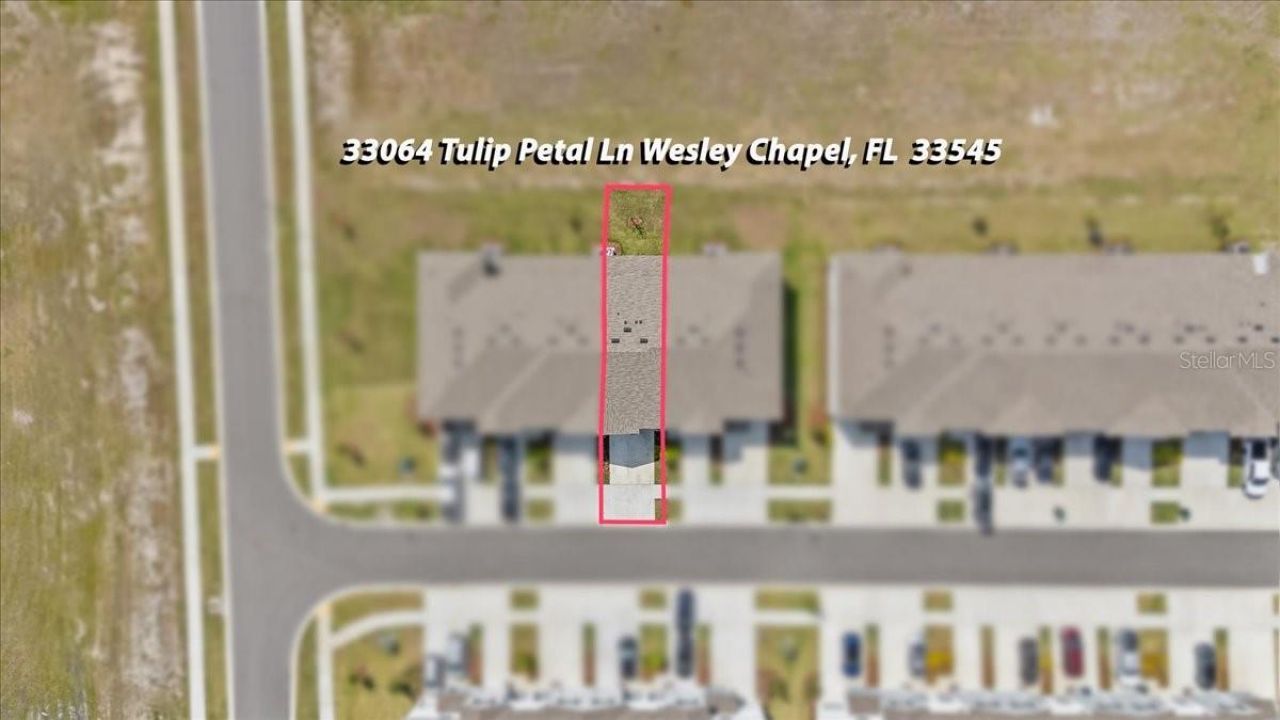 33064 Tulip Petal Lane, Wesley Chapel, FL 33545 Photo