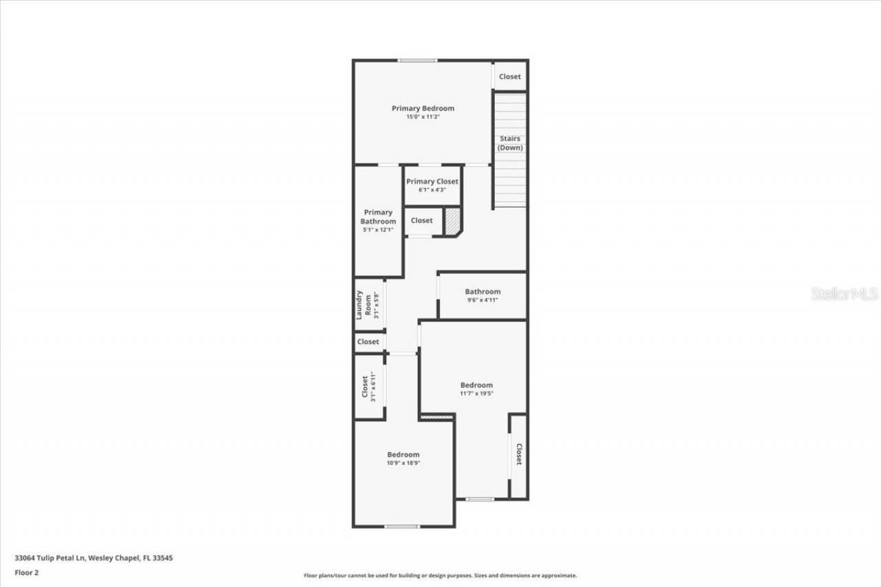 33064 Tulip Petal Lane, Wesley Chapel, FL 33545 Photo