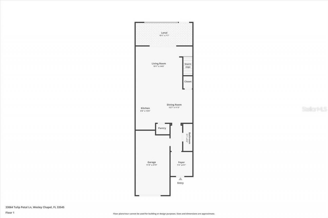 33064 Tulip Petal Lane, Wesley Chapel, FL 33545 Photo