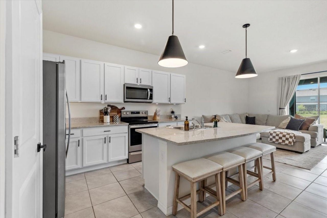 33064 Tulip Petal Lane, Wesley Chapel, FL 33545 Photo