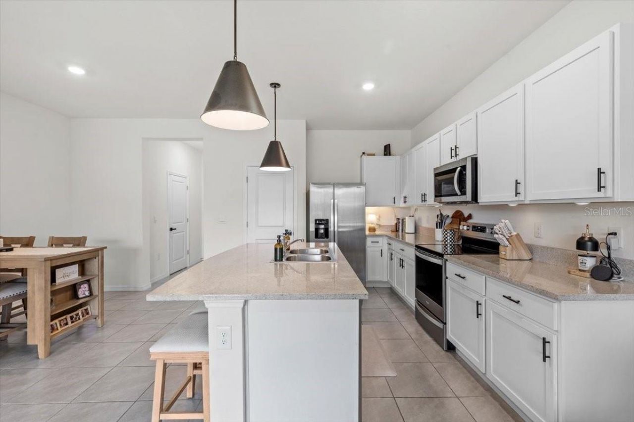 33064 Tulip Petal Lane, Wesley Chapel, FL 33545 Photo
