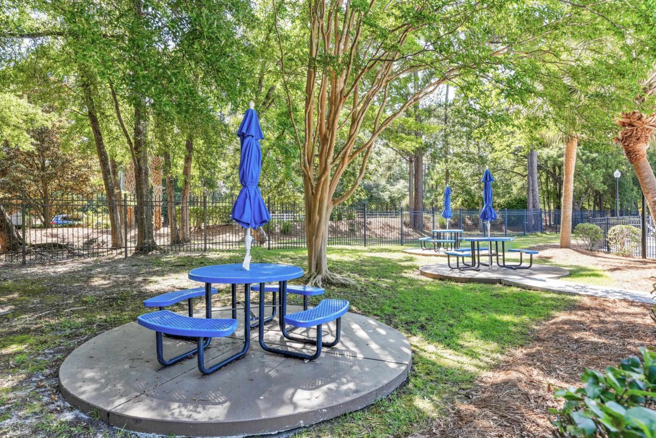 4566 Fringetree Dr. Photo 30