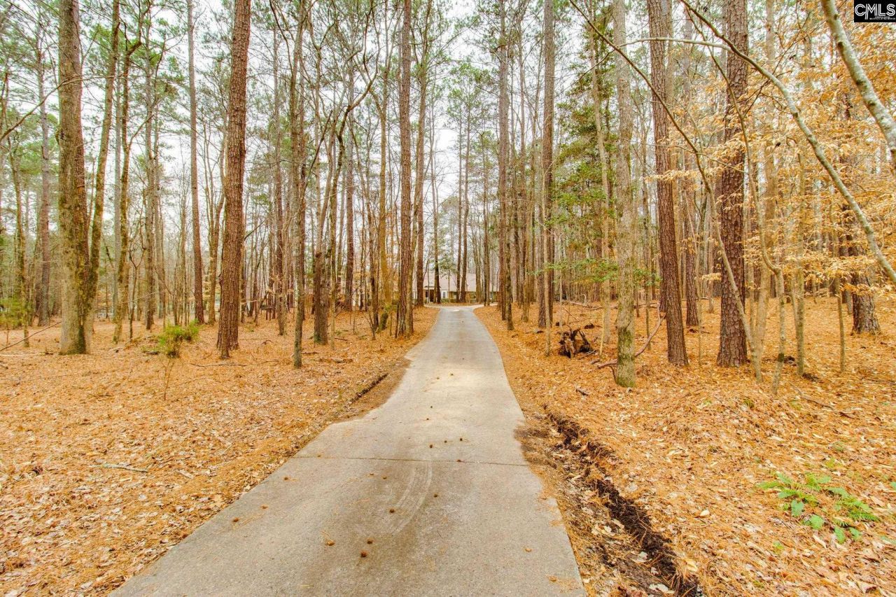 325 Derrick Lane  Photo 4