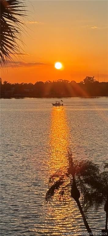 1950 SW Palm City Road, Unit 1-307, Stuart, FL 34994 Photo