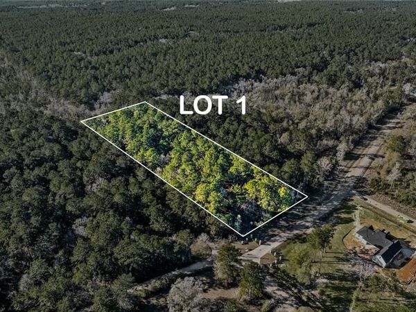 12505 GOLDENTOP Drive, Covington, LA 70433