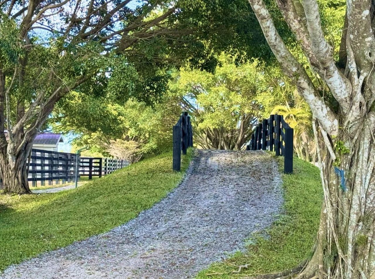 5625 140th Avenue S, Wellington, FL 33449 Photo