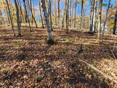LOT 7 SW Pickerel Lake Road, Detroit Lakes, MN 56501