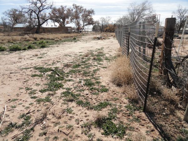12 Alderete Road, Peralta, NM 87042