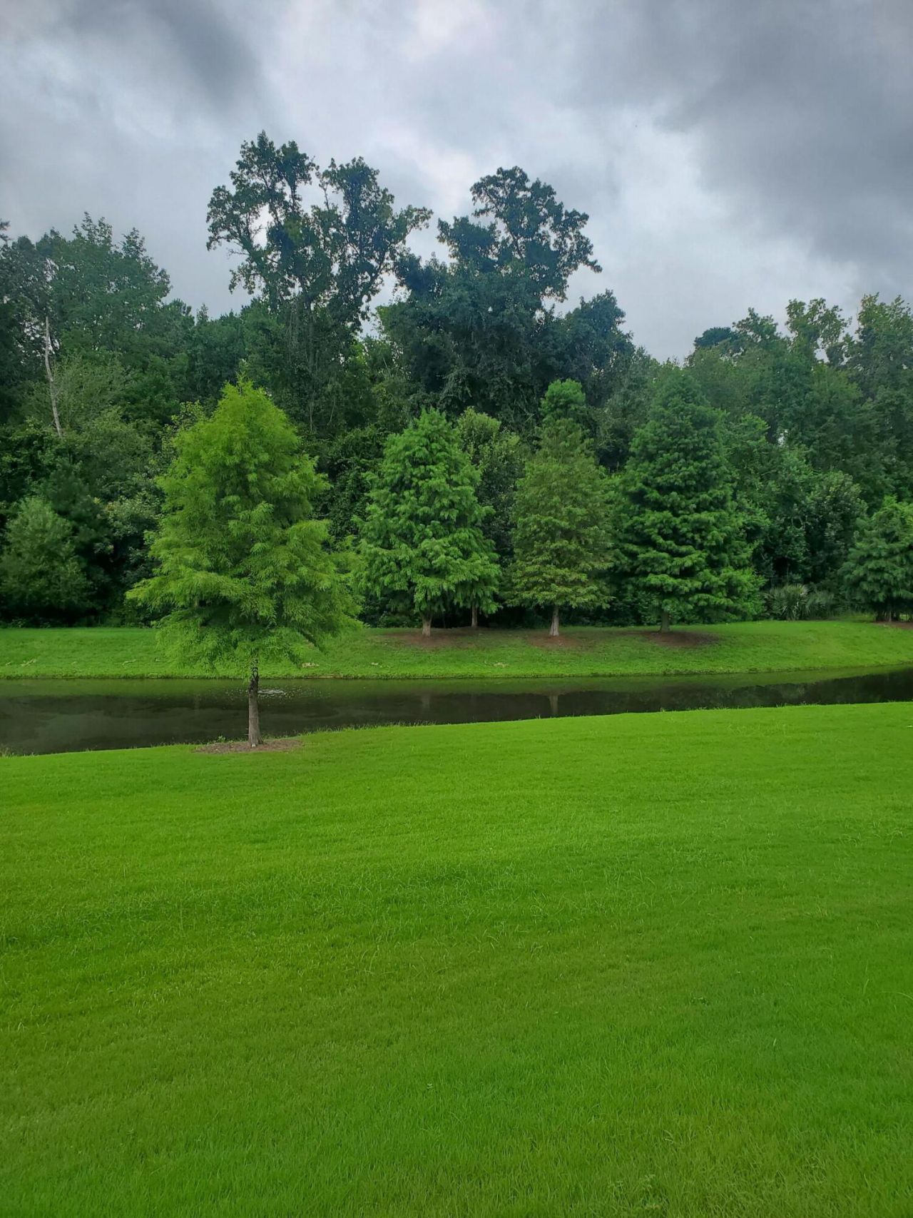 126 Citrea Drive Photo 59