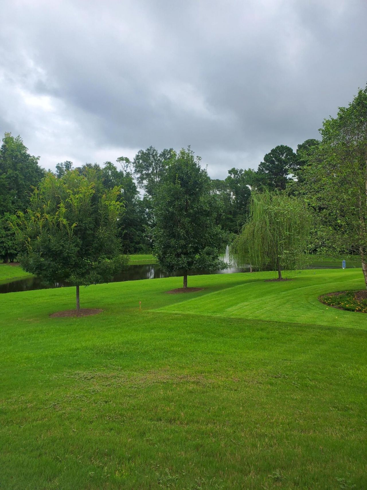 126 Citrea Drive Photo 60