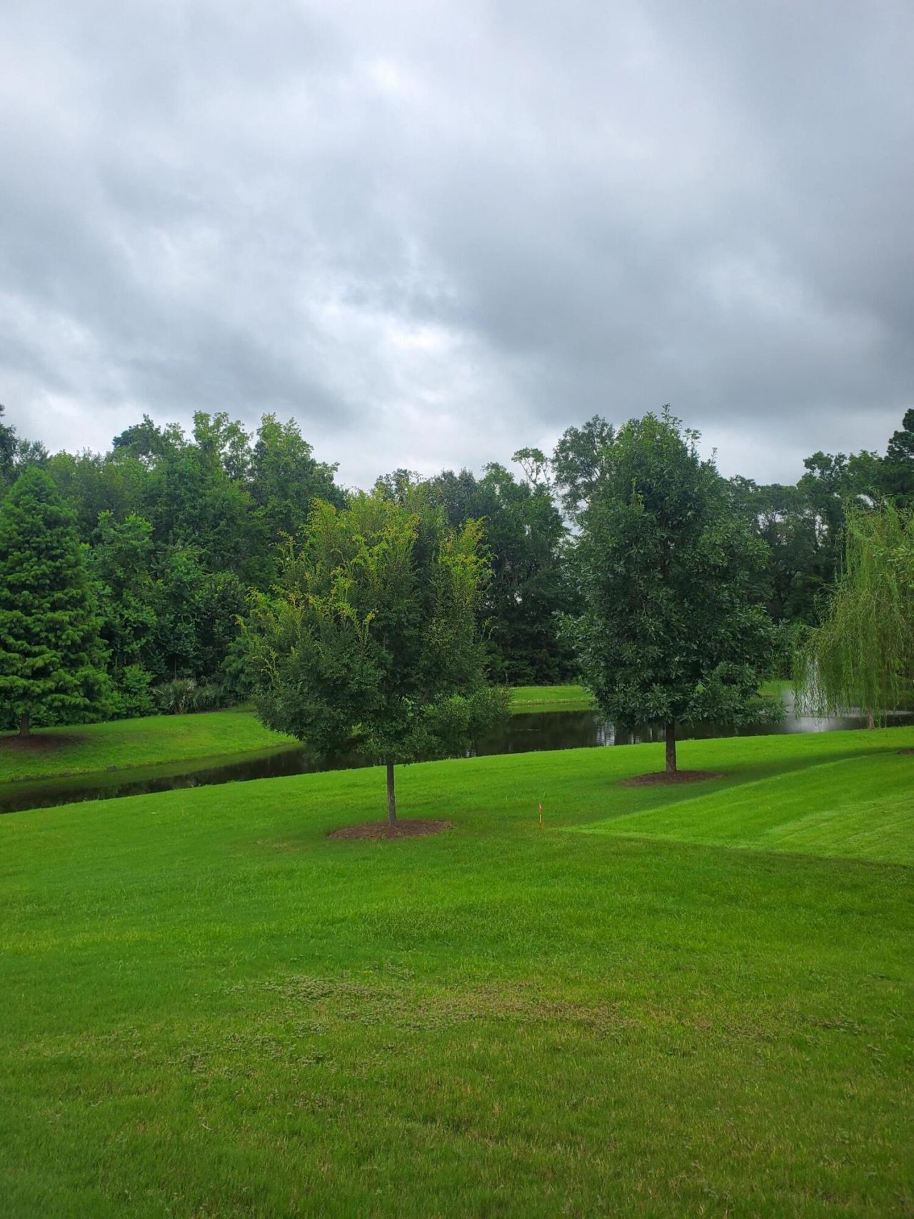 126 Citrea Drive Photo 61