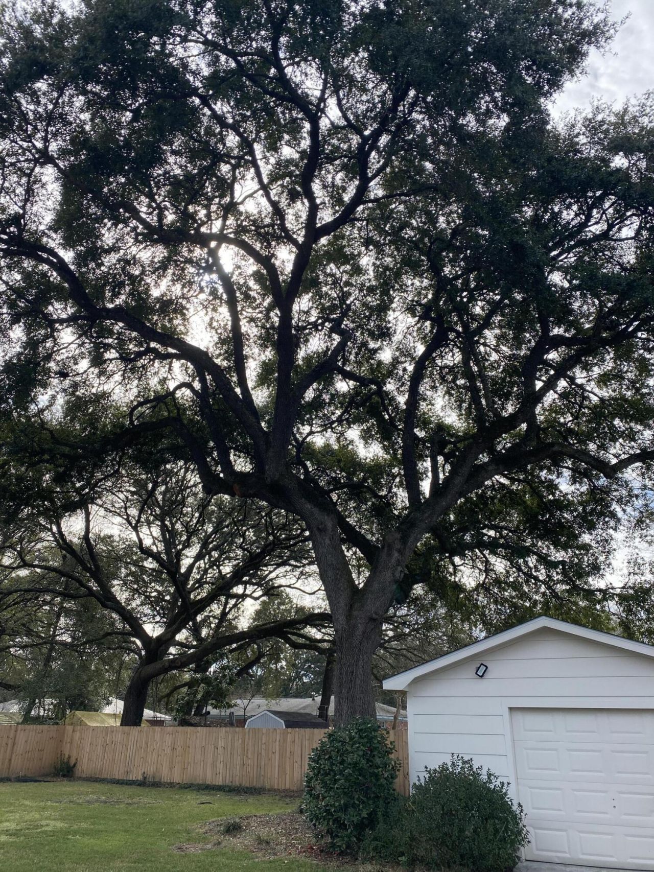 5917 Willard Drive Photo 24