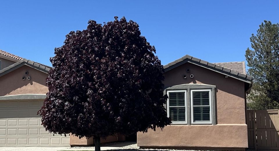 10663 Fort Morgan Way, Reno, NV 89521 Photo