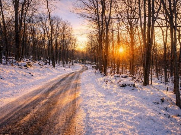 TBD Columbine Circle, Terra Alta, WV 26764