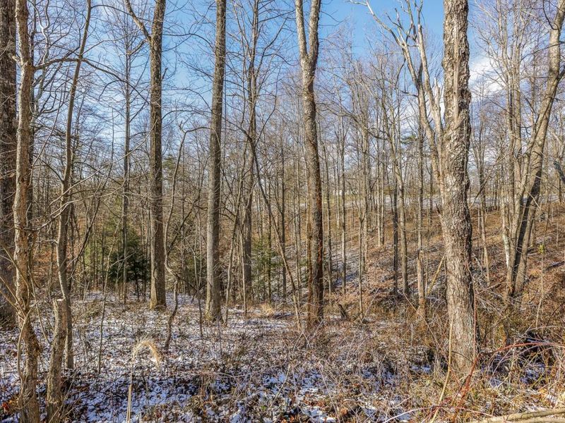 20731 State Route 664 S, South Bloomingville, OH 43152 Photo 64