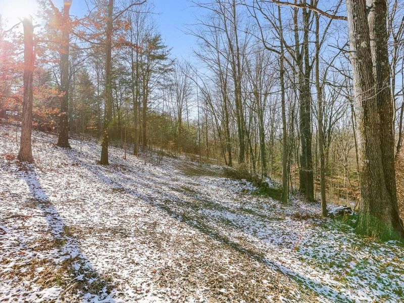 20731 State Route 664 S, South Bloomingville, OH 43152 Photo 65