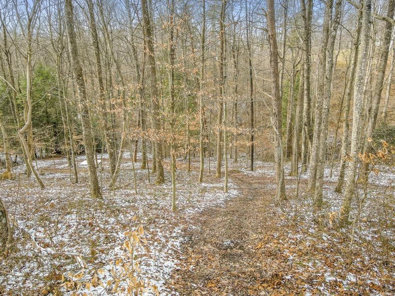 20731 State Route 664 S, South Bloomingville, OH 43152 Photo 66