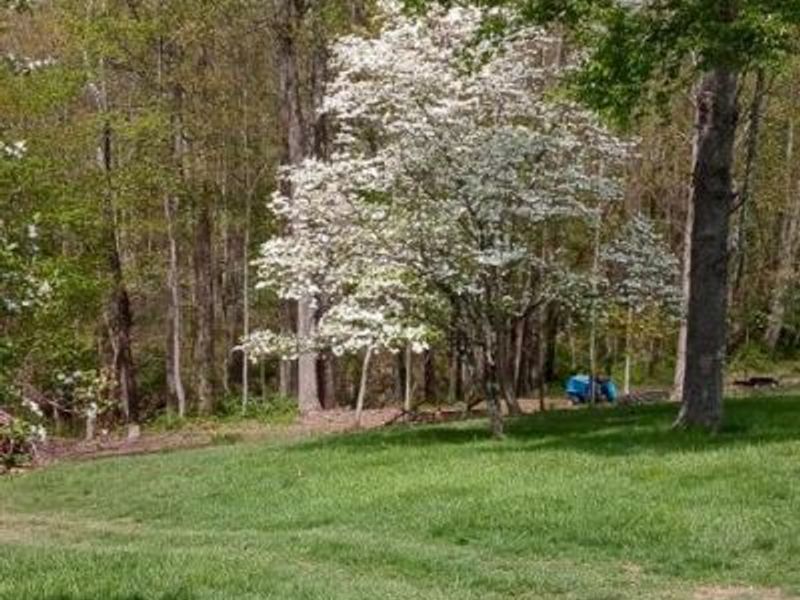 20731 State Route 664 S, South Bloomingville, OH 43152 Photo 71