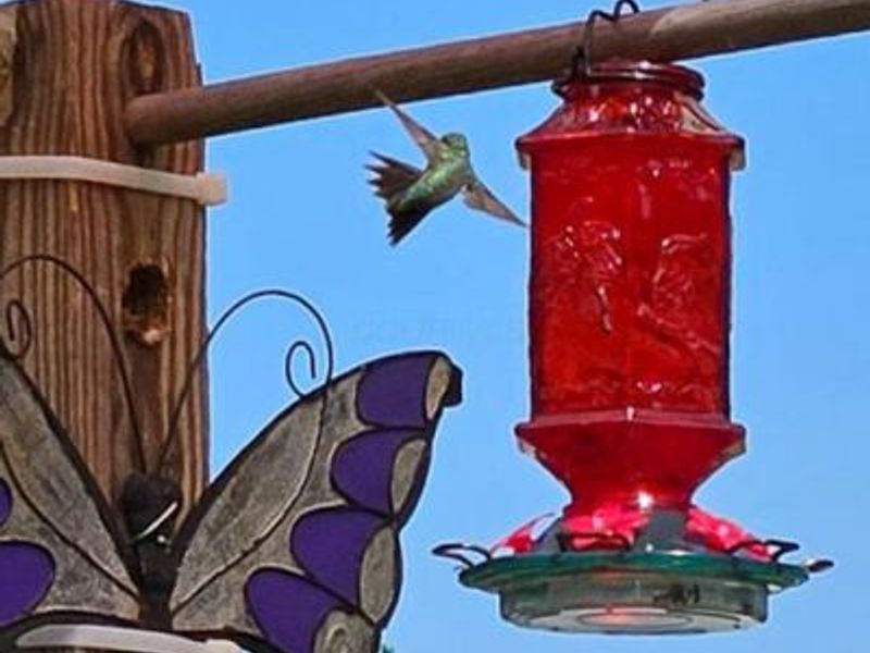 20731 State Route 664 S, South Bloomingville, OH 43152 Photo 73