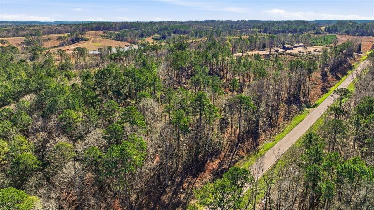 0 Hwy 13, Mendenhall, MS 39114 Main Photo