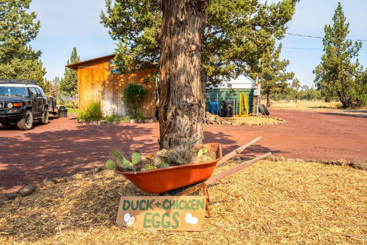 6356 SW Ferret Road, Terrebonne, OR 97760 Main Photo