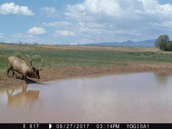 000 Akati Gulch Road, Hesperus, CO 81326