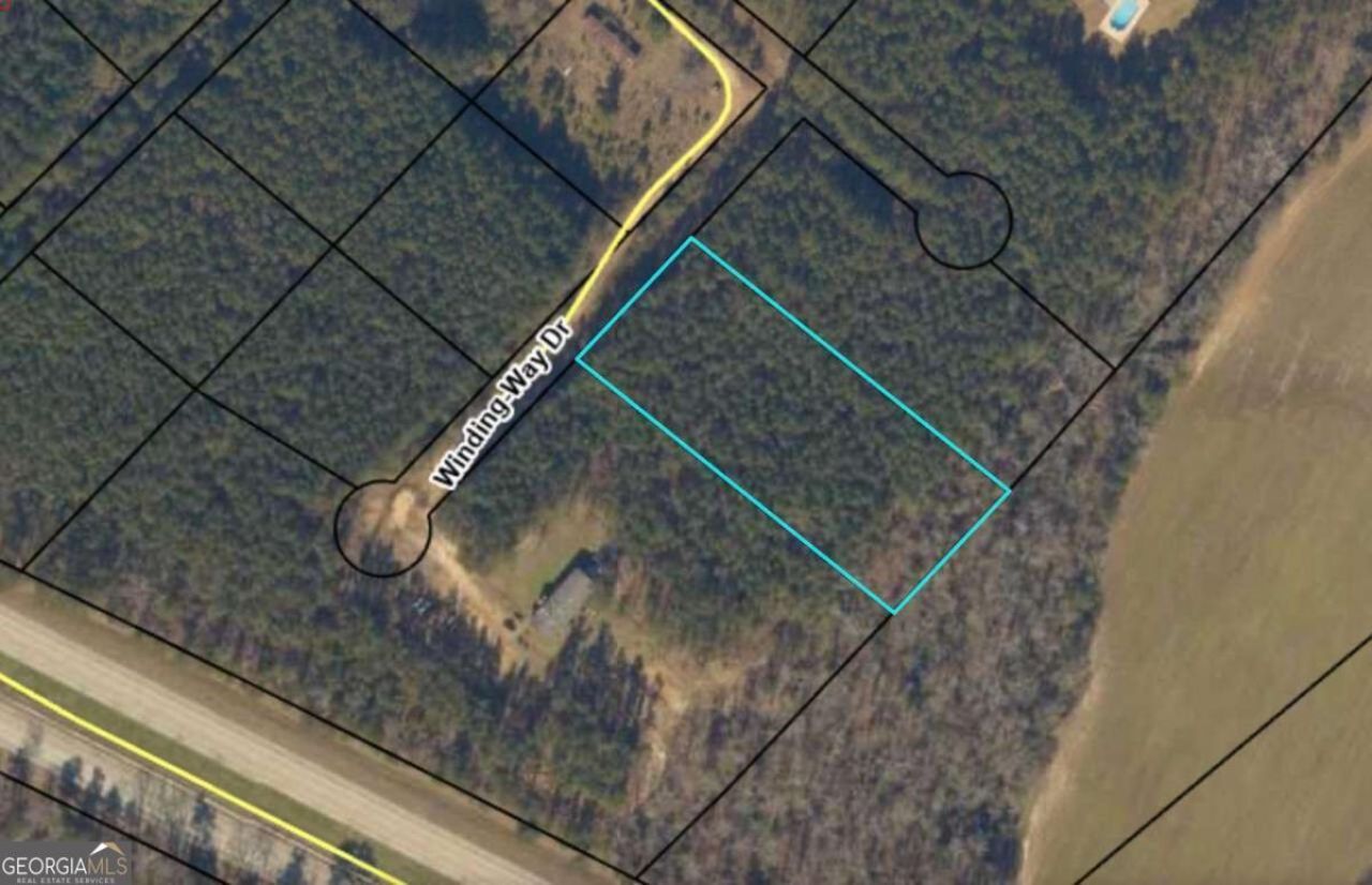 0 Winding-way, Jeffersonville, GA 31044 Main Photo
