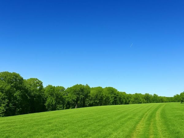 734 BELFAST ROAD, SPARKS GLENCOE, MD 21152