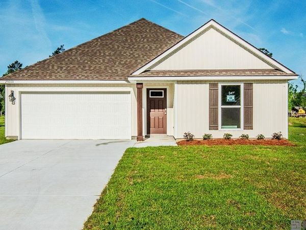 25010 Berry Ridge Lane, Springfield, LA 70462