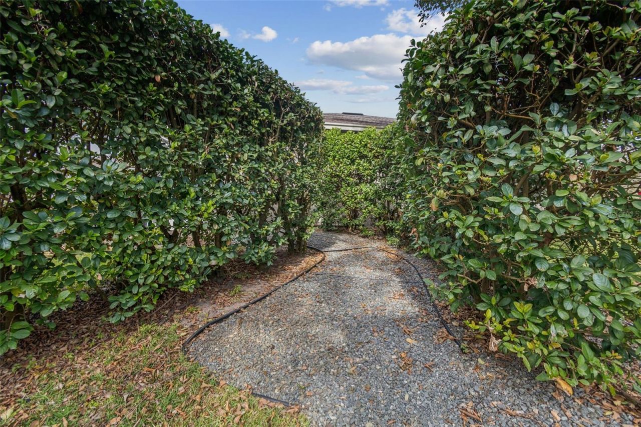 12147 Quail Ridge Drive, Spring Hill, FL 34610 Photo