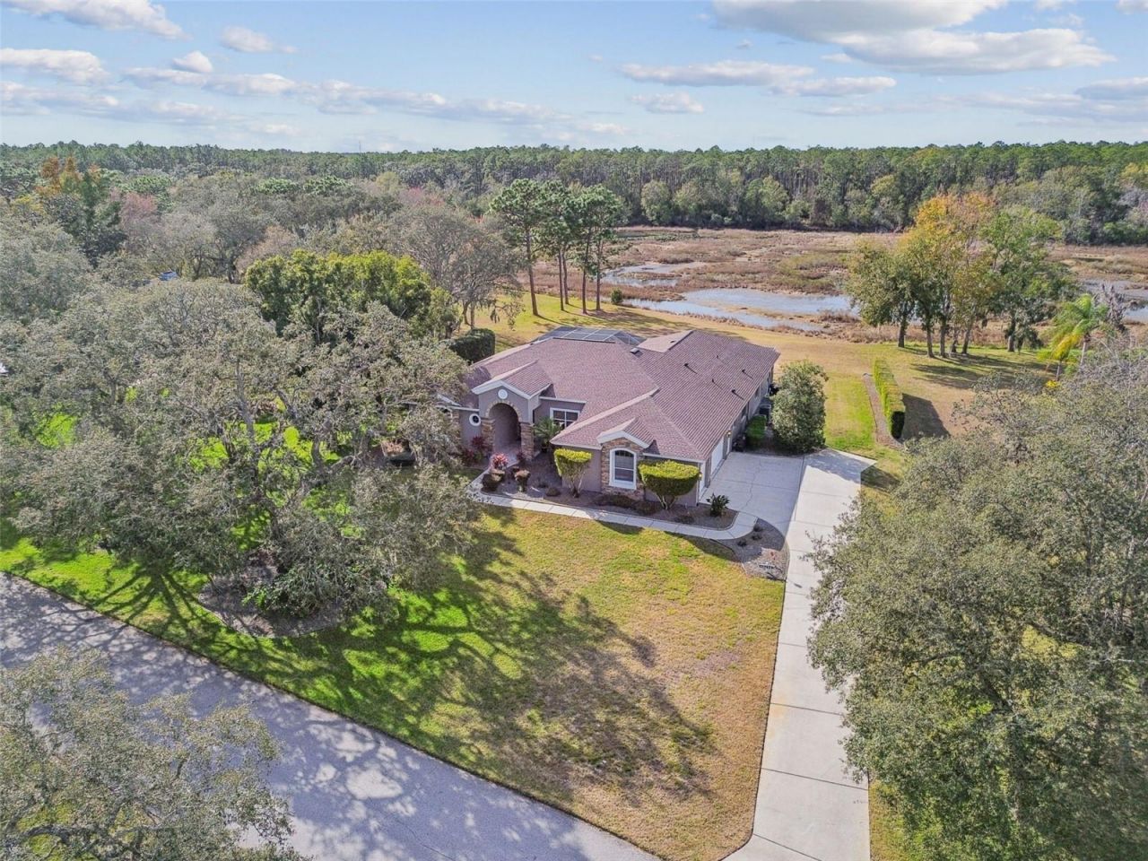 12147 Quail Ridge Drive, Spring Hill, FL 34610 Photo