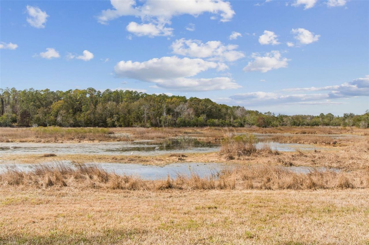 12147 Quail Ridge Drive, Spring Hill, FL 34610 Photo