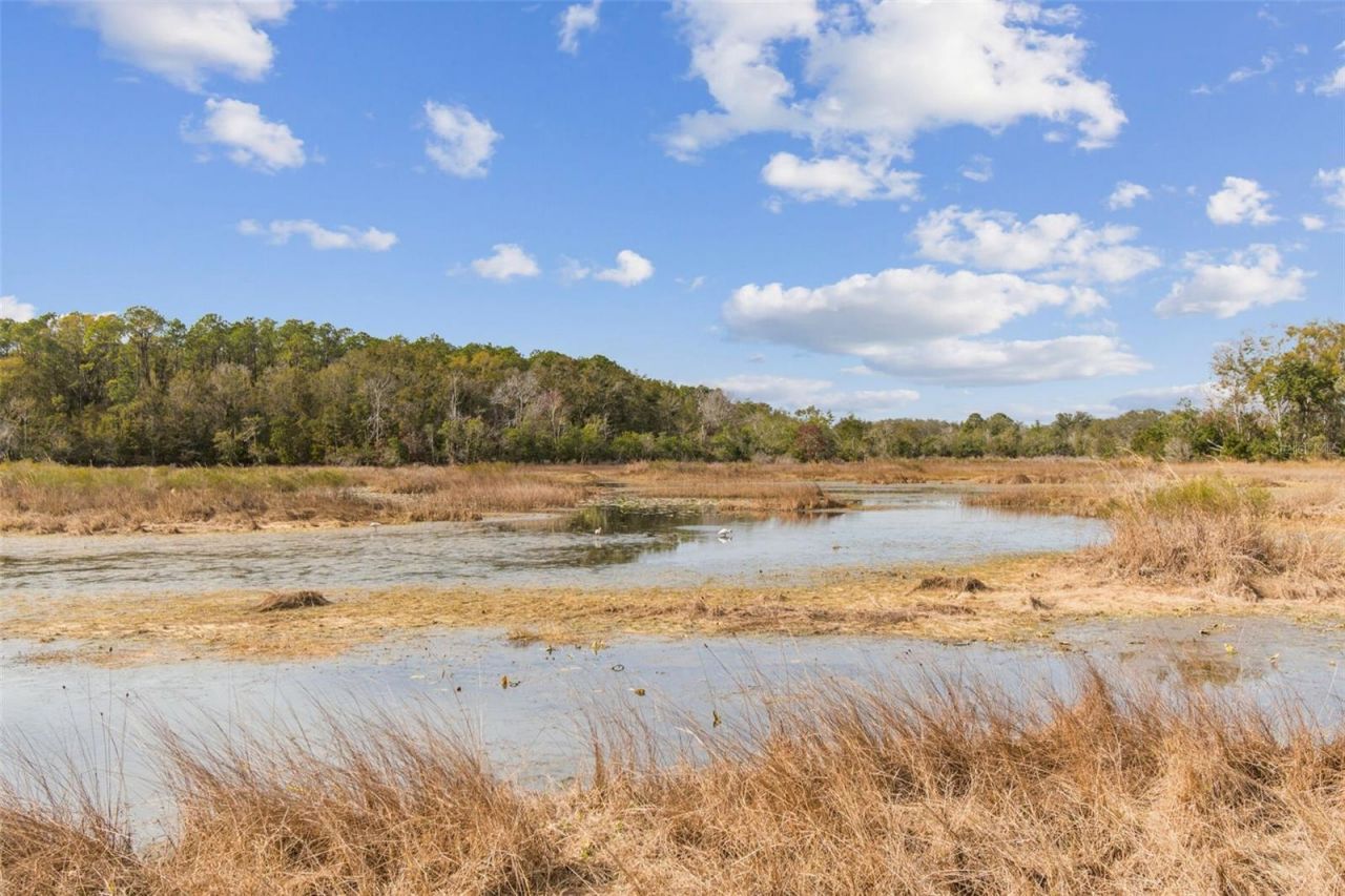 12147 Quail Ridge Drive, Spring Hill, FL 34610 Photo