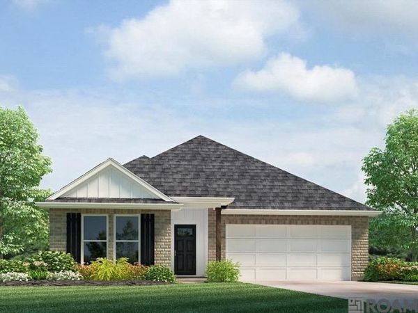 25016 Berry Ridge Lane, Springfield, LA 70462
