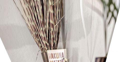 1490 Foster Drive, Reno, NV 89509 Photo