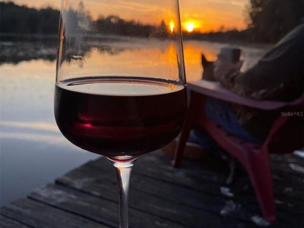 14730 SE 61ST STREET ROAD, OCKLAWAHA, FL 32179