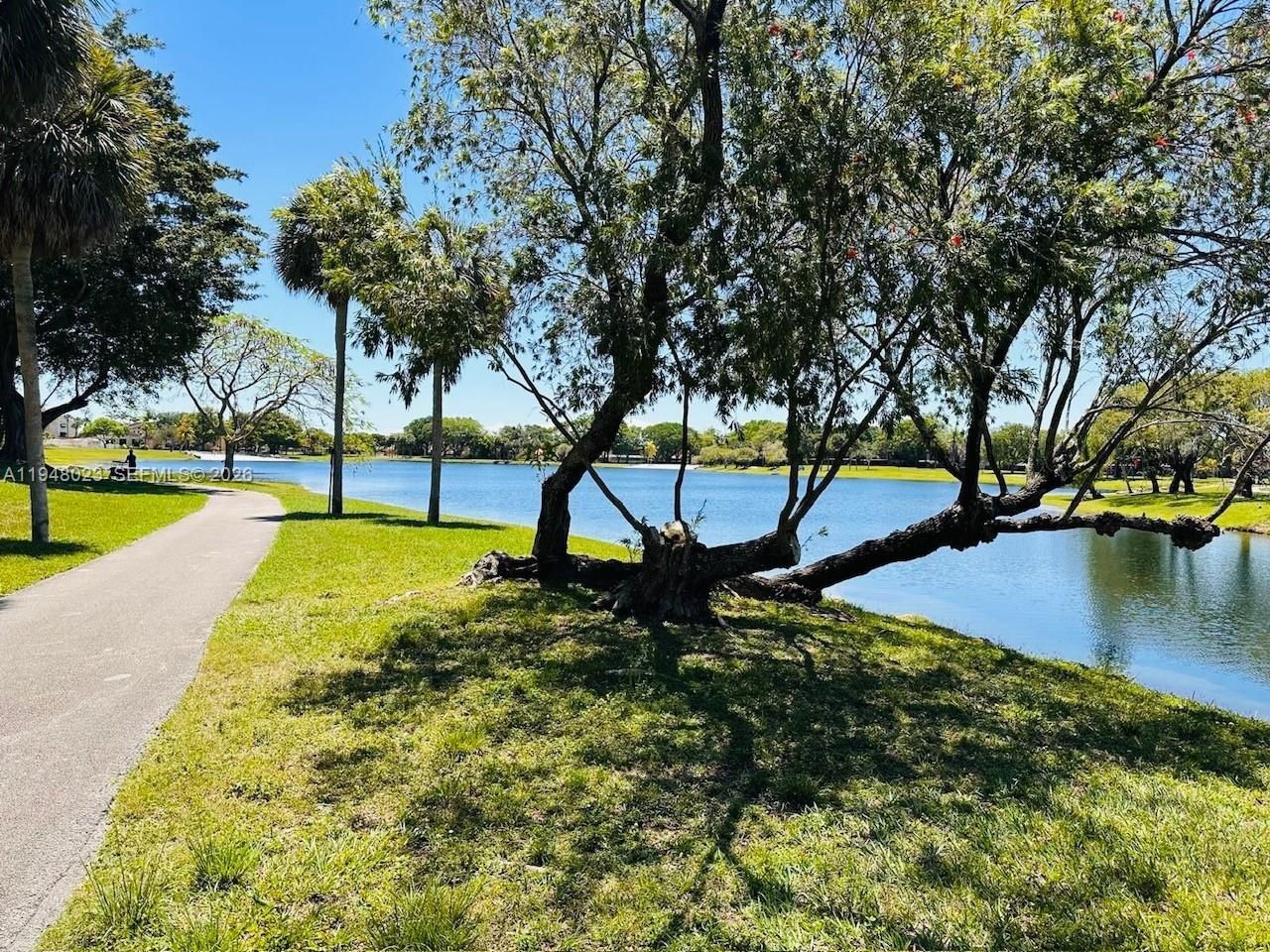 15680 SW 106th Ln , Unit 804, Miami, FL 33196 Photo