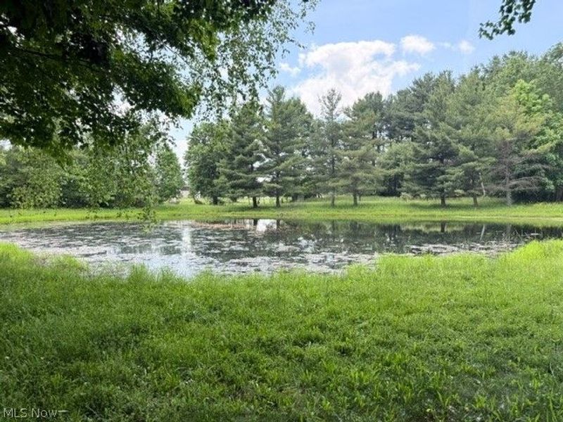 3545 Porter, Rootstown, OH 44272 Photo 10