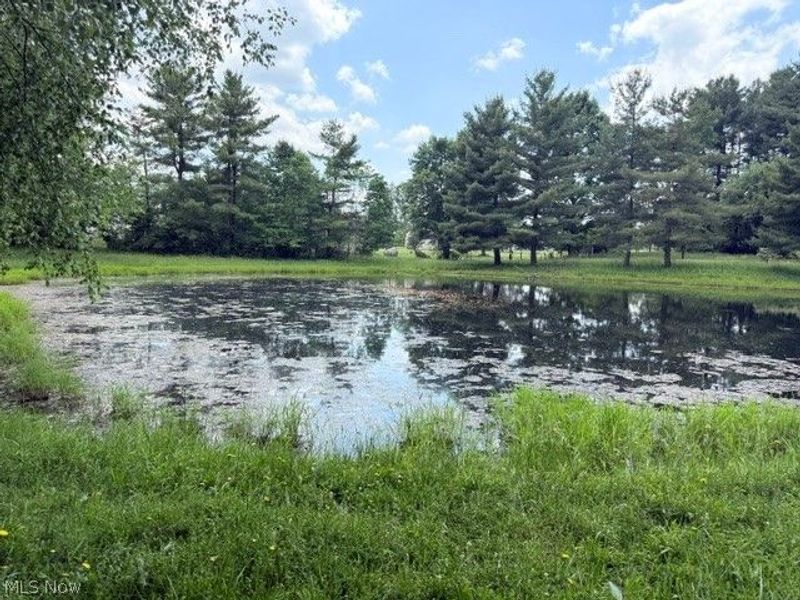 3545 Porter, Rootstown, OH 44272 Photo 9