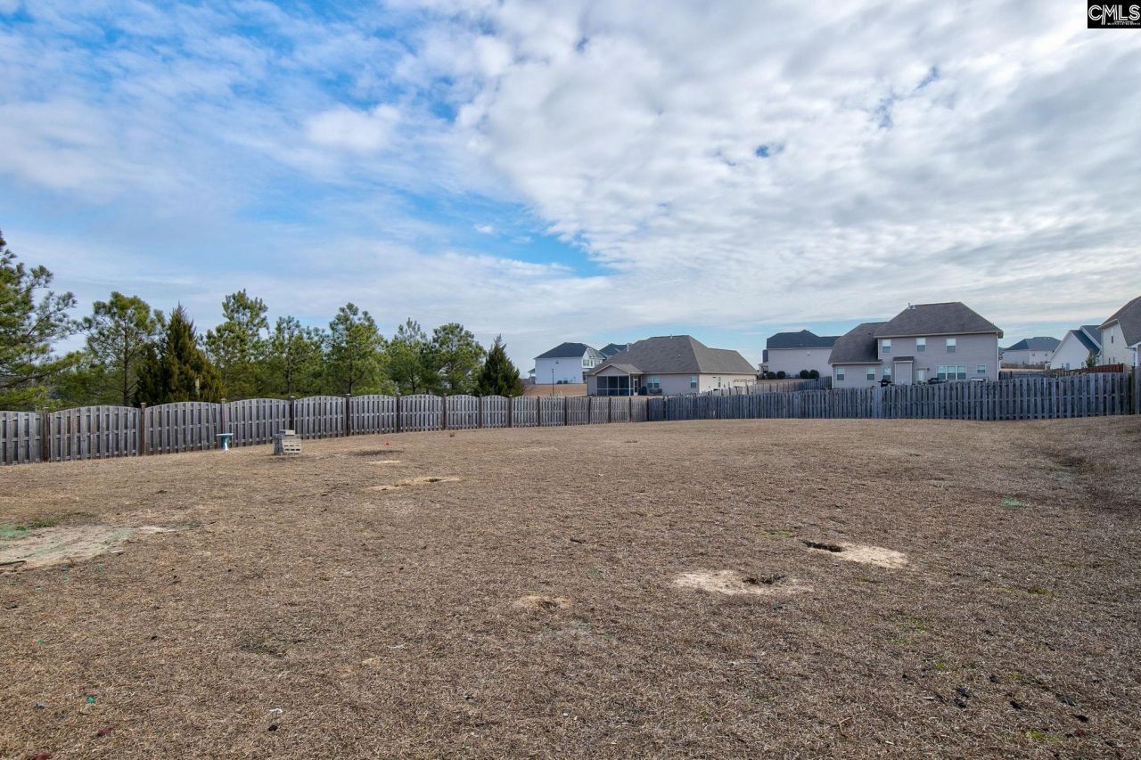 709 Spring Cress Drive Photo 22