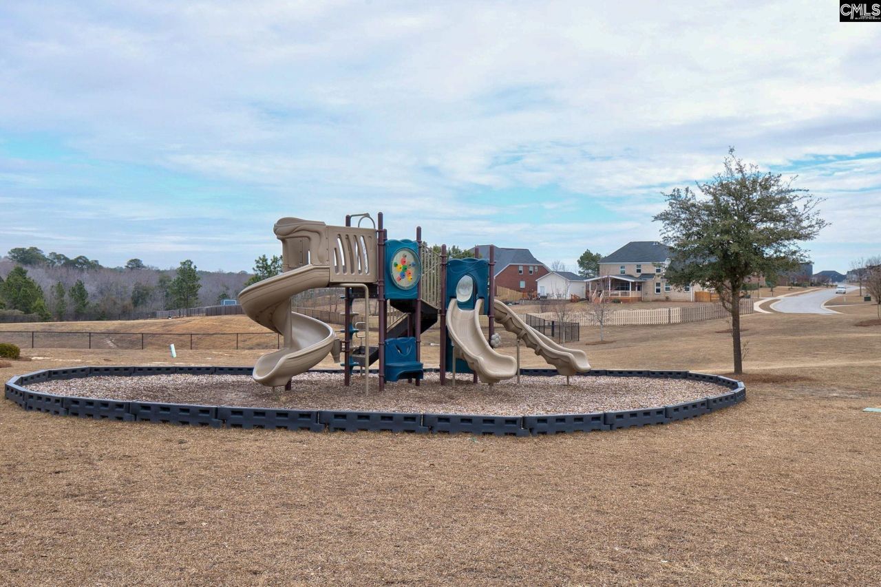 709 Spring Cress Drive Photo 26