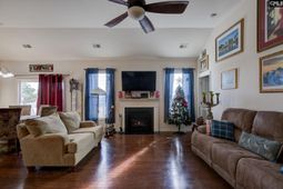 709 Spring Cress Drive photo 4