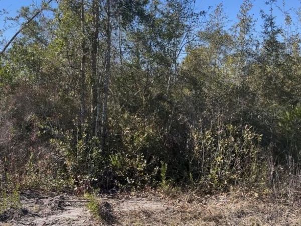 0 N Patrick Street, Port St. Joe, FL 32456