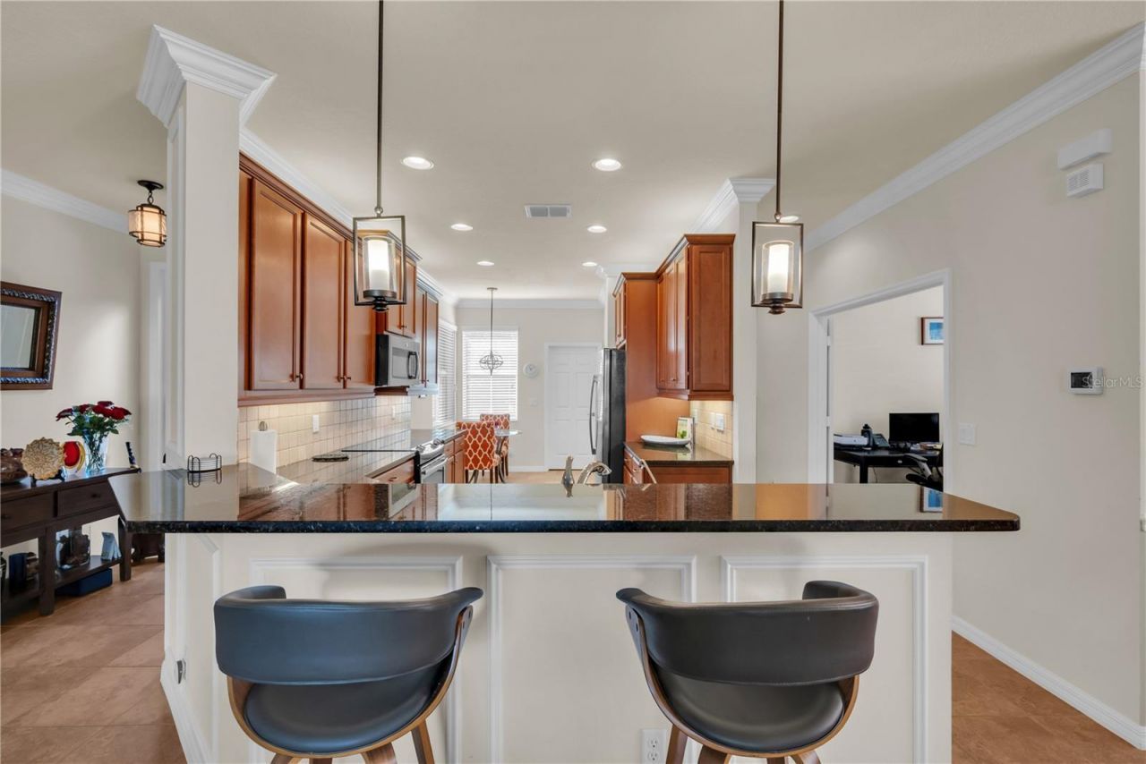 15644 Aurora Lake Circle, Wimauma, FL 33598 Photo